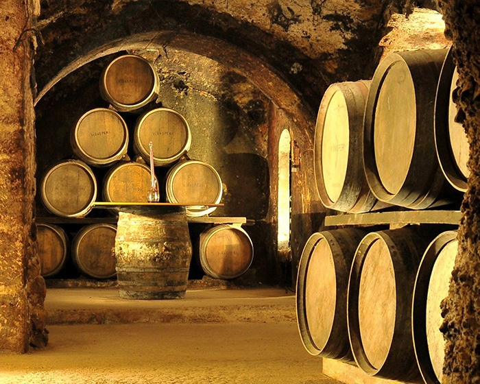 Purchase of wineries in Spain