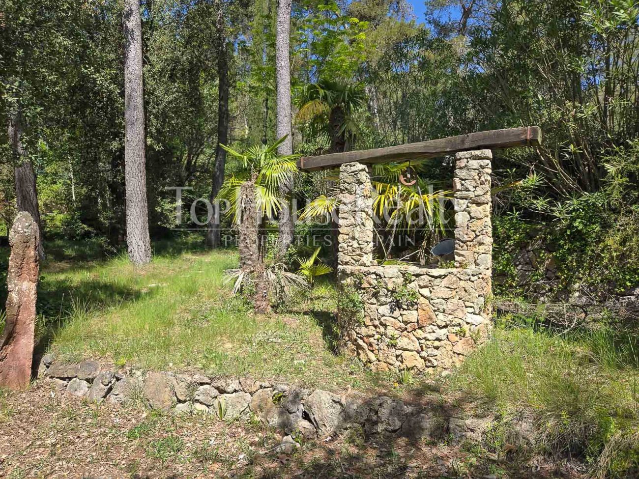 Вилла в Begues — уникальная усадьба с участком 6.000 м² и инвестиционным потенциалом